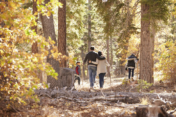 Wall Mural - Mother, father and two children hiking in forest, back view