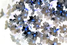 Background  From Primrose Flowers, Invert Method