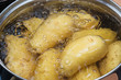 Kartoffeln kochen ungeschält in einem Topf zur Pellkartoffel bzw. Pellkartoffeln