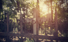 Ornate Fence In The Cemetery