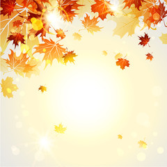 Wall Mural - beautiful autumn