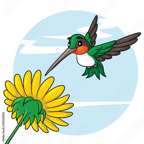Hummingbird Cartoon Illustration of cute cartoon hummingbird. Stock