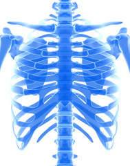 3D illustration of shiny blue skeleton system.