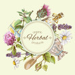 Herbal vintage banner