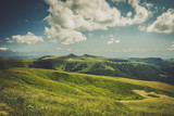 Fototapeta Na sufit - summer mountains landscape green grass and blue sky
