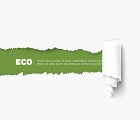 vector torn paper with roll illustration, eco concept. realistic torn paper for ecological design, b