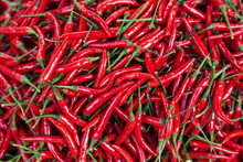 Red Peppers For Sale In Market, Myanmar, (Burma)