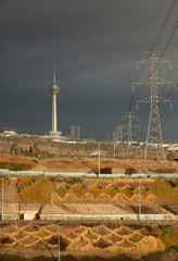 Wall Mural - Milad Tower and Power Transmission Lines of Tehran