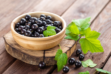 Wall Mural - black currant