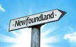 Newfoundland direction sign in a concept image