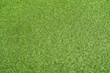 Top view of Artificial green grass - copy space
