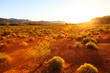 Desert over sunset at Southern Nevada, Valley of Fire State Park, USA