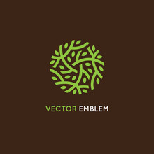 Vector Logo Design Template In Green Color