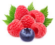 © vmenshov - Five raspberries with leaf and one blueberry isolated on white background with clipping path