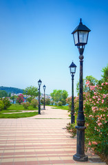 Wall Mural - City park