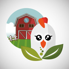 Animal design. chicken icon. Isolated illustration, white backgr