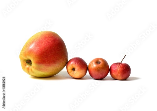 Fotografía four apples - one big apple from shop and three homemade small apples all on whi