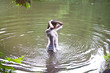 © Cavan Images - Young woman swimming in river