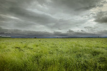Scenic View Of Grassy Field Against Stormy Clouds