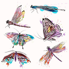 Poster - Set of detailed vector butterflies for design