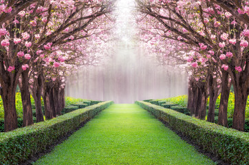 Romantic tunnel.