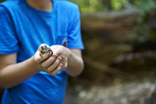 Midsection Of Boy Holding Frog In Forest