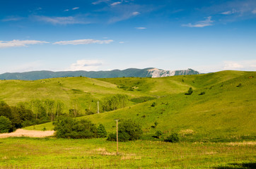 Wall Mural - green field and blue sky