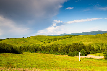 Wall Mural - green field and blue sky