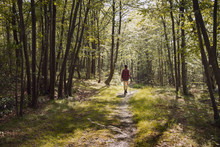 Woman Walking In Forest