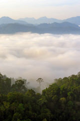 Wall Mural - kaeng krachan national park.
