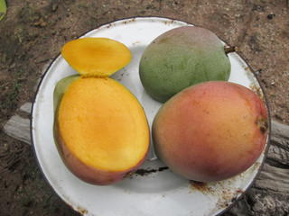 Sticker - Ripe mango.