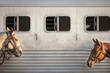 © Cavan Images - Horses standing beside train