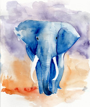 Blue Elephant Watercolor Illustration