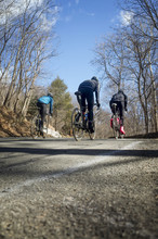 Cyclists On Asphalt Road