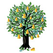 Illustration Pear tree