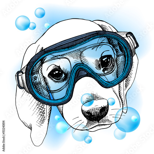 Obraz w ramie Ilustracja - portret psa w masce do nurkowania