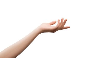 female hand holding something, isolated
