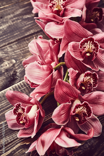 Naklejka na szybę Orchid flowers