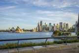 Fototapeta  - Sydney skyline with opera and circular quay