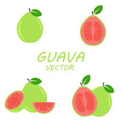 Wall Mural - Vector flat Guava icons set