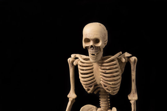 Skeleton human on black background