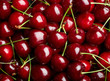 Cherry Background.  Sweet organic cherries