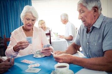 Wall Mural - group of seniors playing dominoes