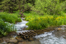 Mini Bridge Over Stream Small Bridge Over Stream Free Stock Photo - Public Domain Pictures