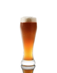 glass of beer on a white background