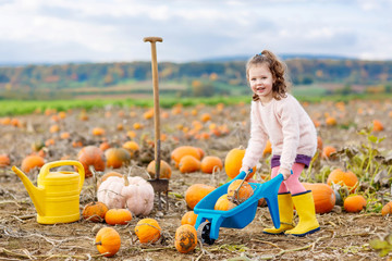 little girl farming on pumpkin patch