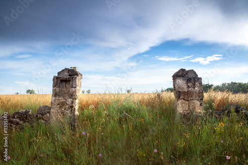 Fotografie, Obraz Two Old Stone Pillars on a Grass Field. Altamura, Apulia, Italy