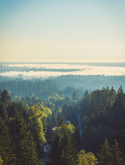 Wall Mural - Aerial photo of Vancouver