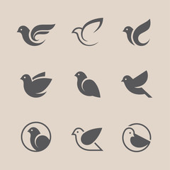 black bird icons set