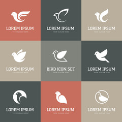 Wall Mural - white bird icons set